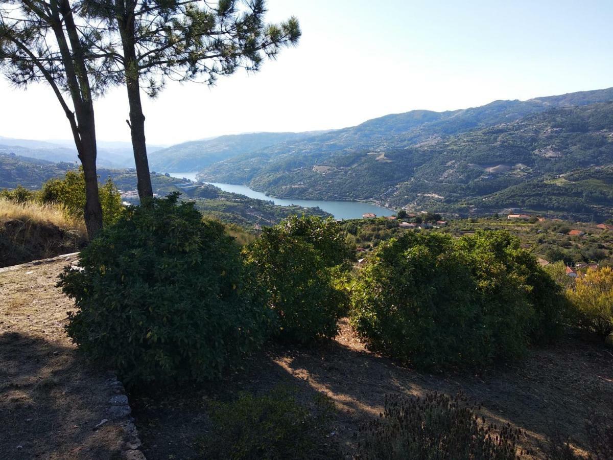 Paraiso Hills - Encostas Do Paraiso: Tranquilidade No Douro Resende Exterior foto